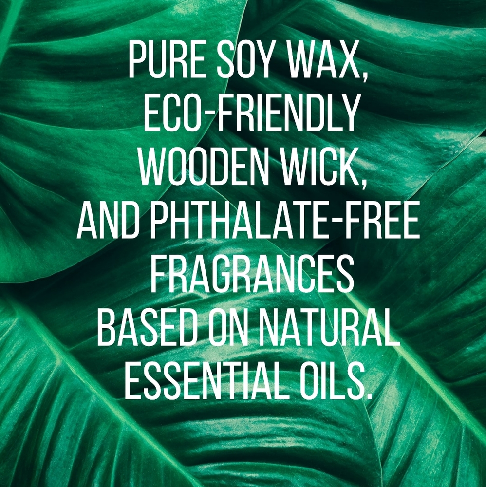 Little Forest Soy Wax Candle with Wood Wick and Botanicals - Picture 6 of 9